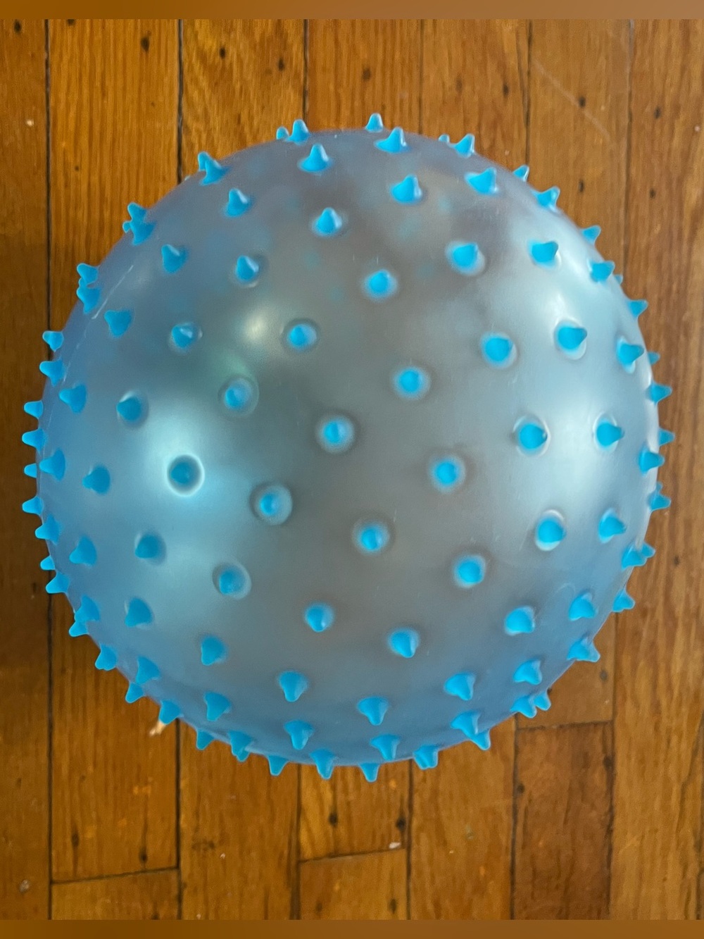 Blue Spiked Party Ball - Home Party Supplies
